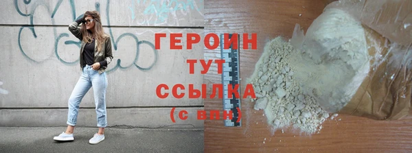индика Осташков