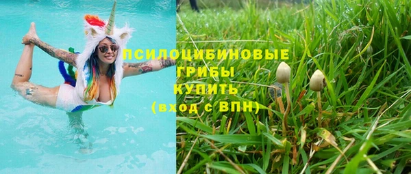 дмт Алексин