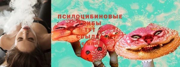 дмт Алексин