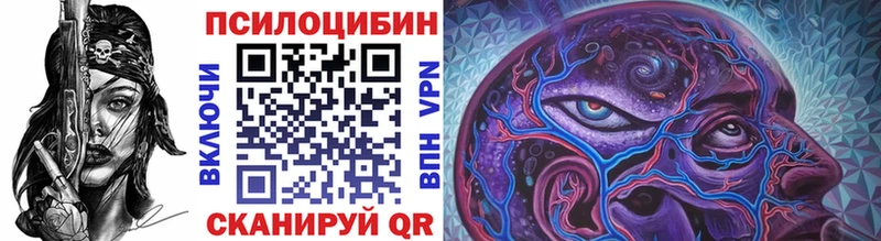 blacksprut как войти  Волгоград  Галлюциногенные грибы GOLDEN TEACHER 