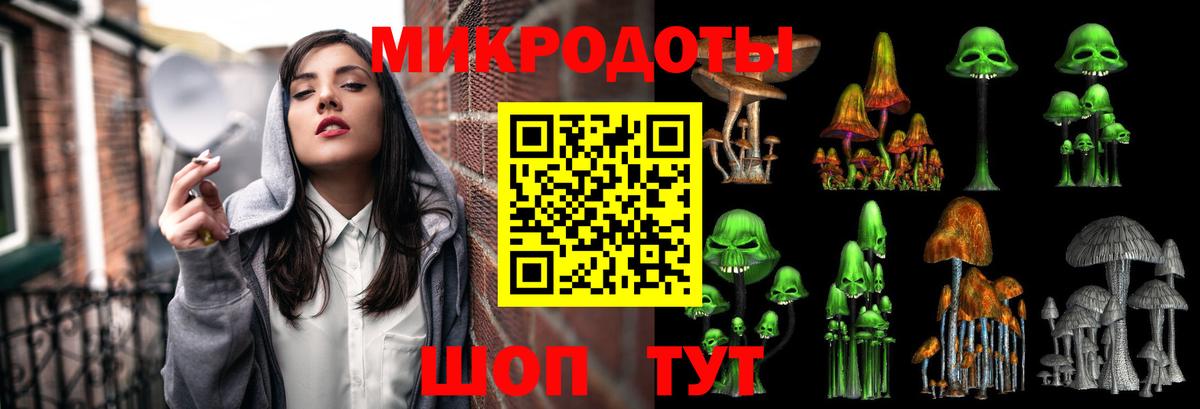 Псилоцибиновые грибы Psilocybine cubensis Волгоград