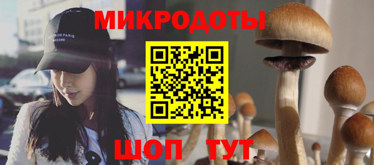 Галлюциногенные грибы ЛСД  Псилоцибиновые грибы ЛСД  Волгоград  Вход с VPN 